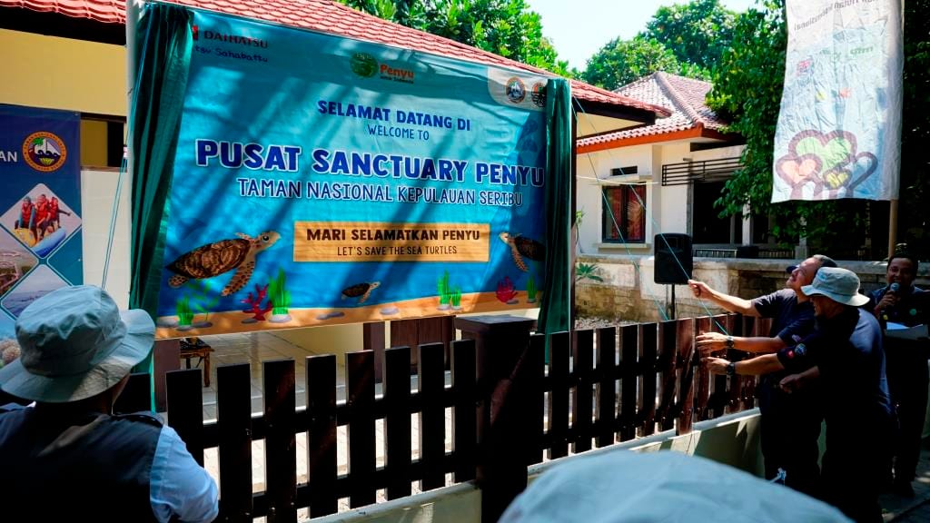 Pusat Sanctuary Penyu Di Pulau Pramuka Diresmikan Mounture