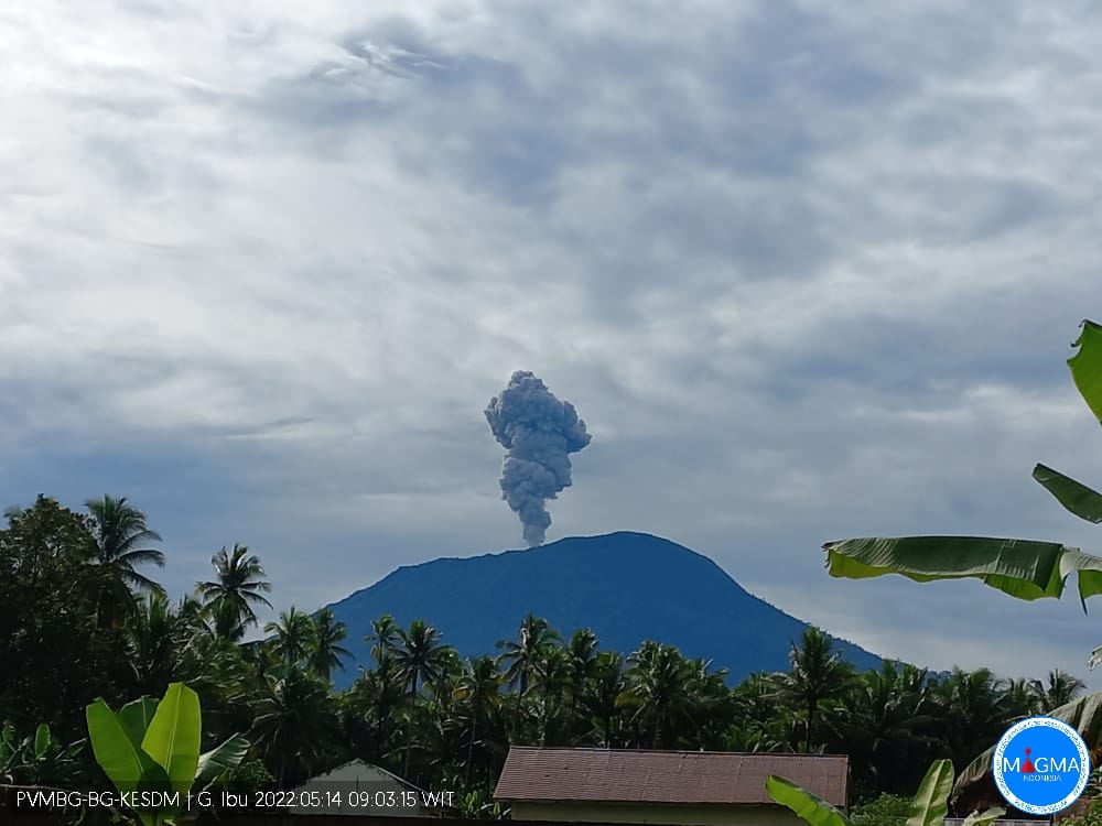 Gunung Ibu Kembali Erupsi Kolom Abu Capai Meter Di Atas Puncak