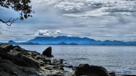 Gunung Palung