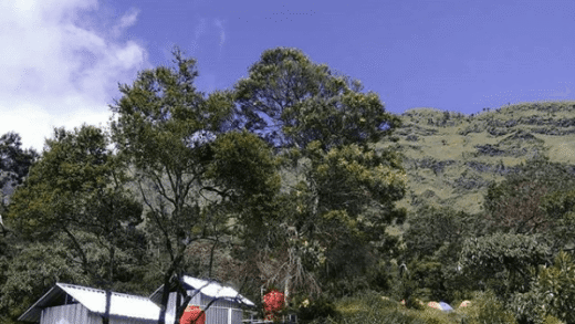 Merbabu via Wekas