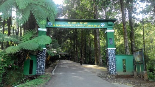 Gunung Bunder