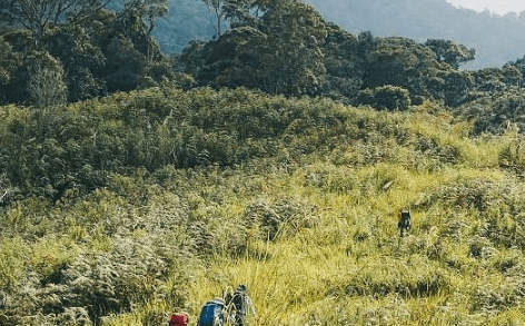 Ekspedisi Leuser