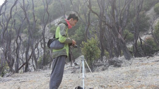 Gunung Papandayan