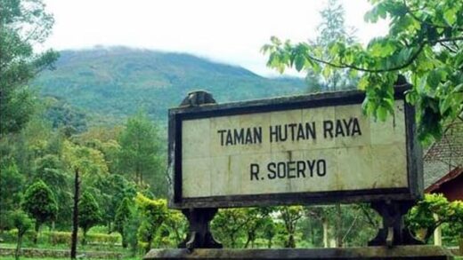 Tahura Raden Soerjo