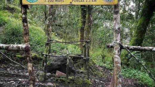 Batu Lingga