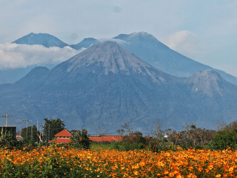 Estimasi Waktu Mendaki Gunung Arjuno - Welirang Via Cangar - Mounture.com