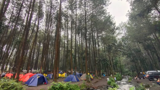 Wisata alam Kalipinusan Poncosumo
