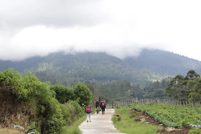 Gunung Cikuray via Tapak Gerot