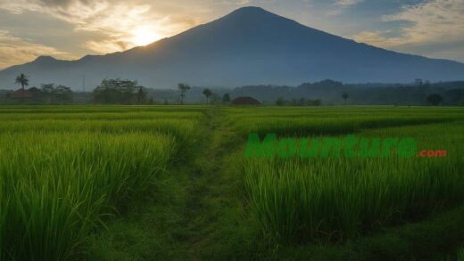 Gunung Ciremai via Apuy