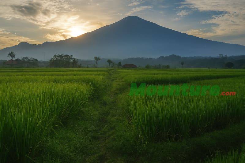 Gunung Ciremai via Apuy
