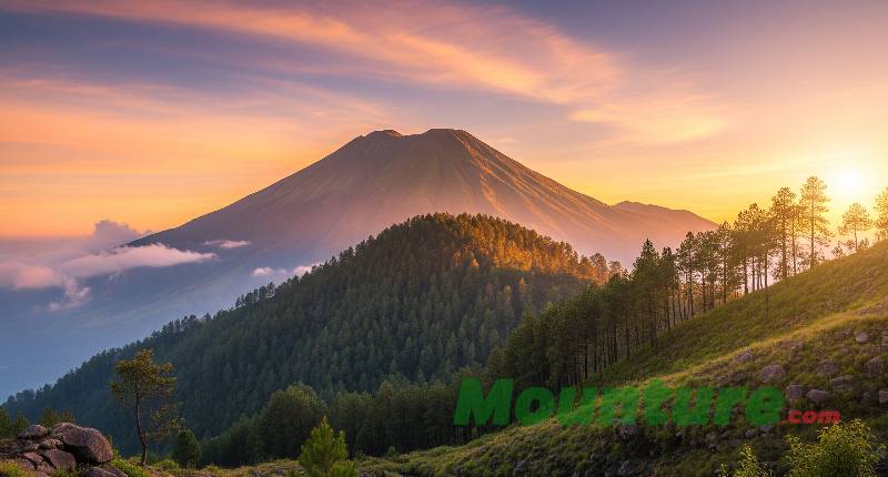 Jalur Ilegal Gunung Gede Pangrango