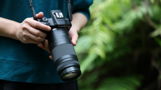 Canon RF75-300mm f/4-5.6