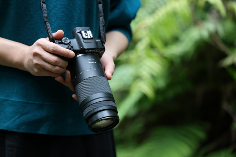 Canon RF75-300mm f/4-5.6