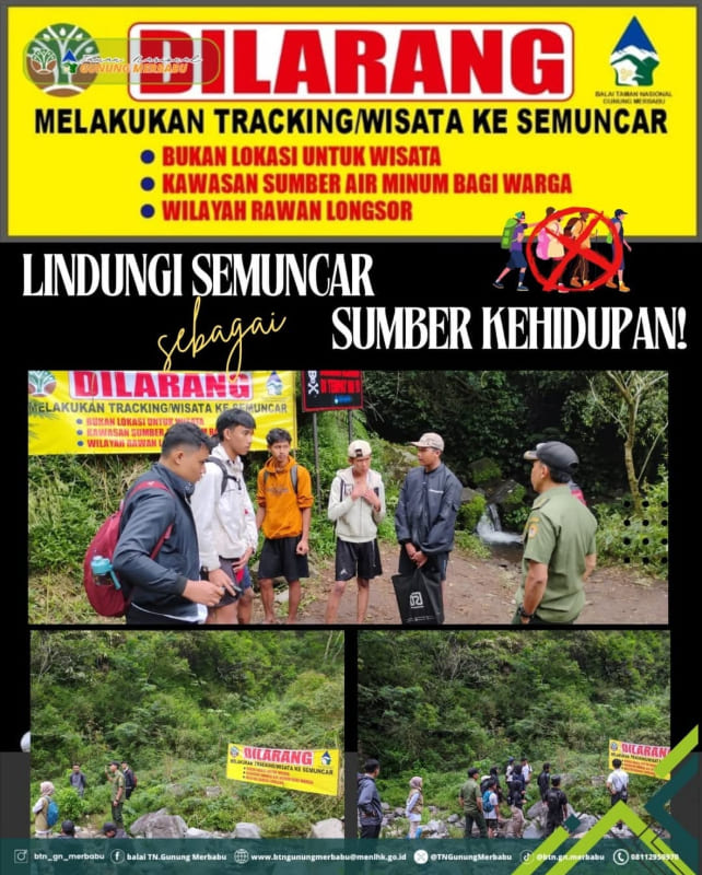 Semuncar GUnung MErbabu