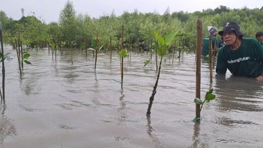 LindungiHutan