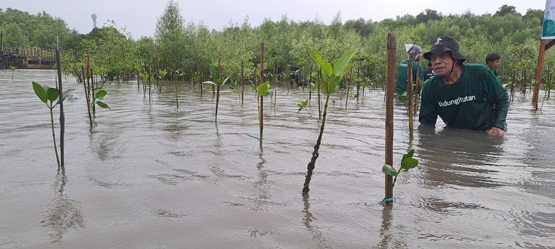 LindungiHutan