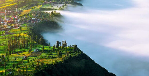 Desa Wisata Pujon Kidul