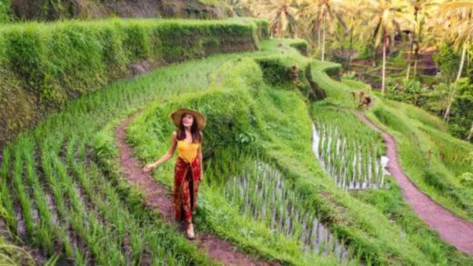 Bali Sun Tours