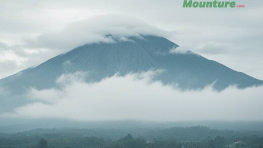 Gunung Halimun Salak