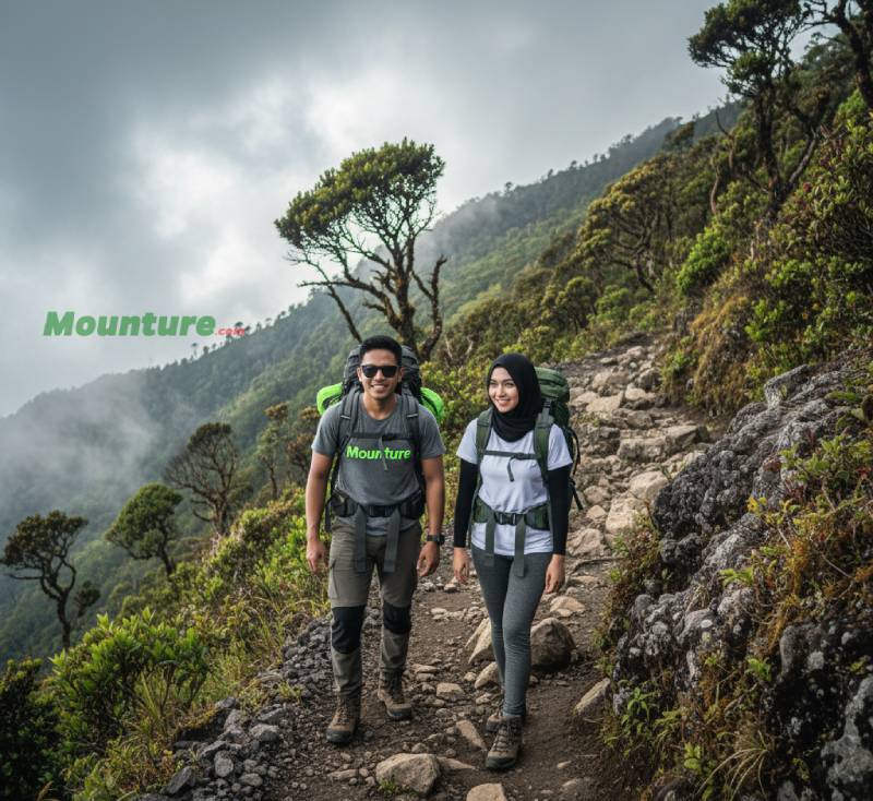 Pendaki Gunung