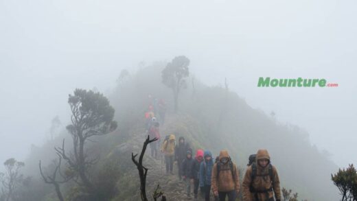 Pendakian Kabut Tebal