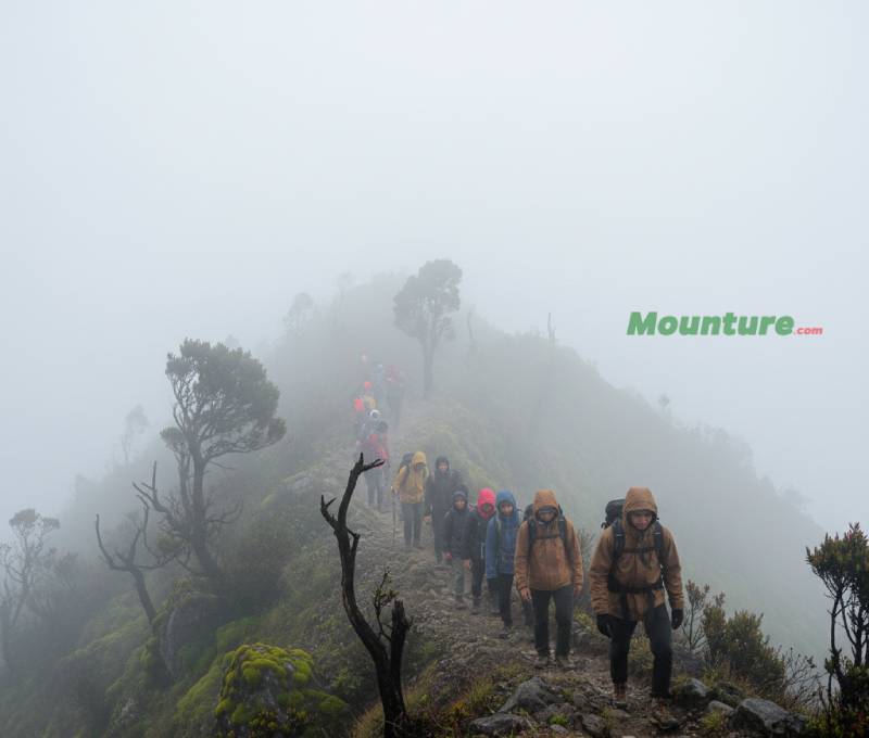 Pendakian Kabut Tebal