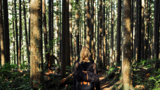 Hutan Pinus Sigrowong