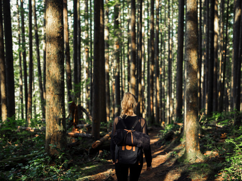Hutan Pinus Sigrowong