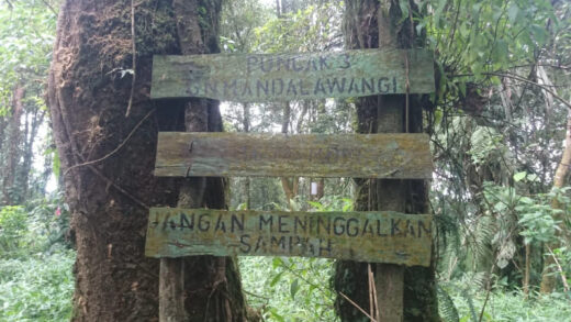 Gunung Mandalawangi Garut