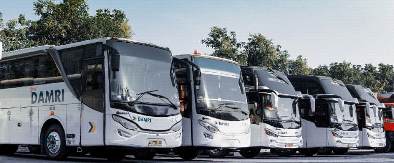 Bus DAMRI