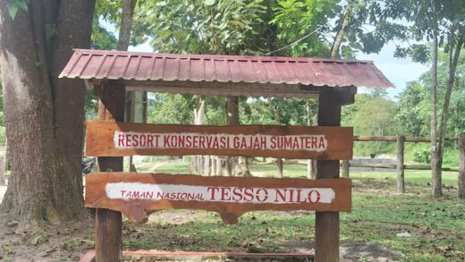 Balai Taman Nasional Tesso Nilo