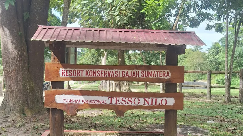Balai Taman Nasional Tesso Nilo