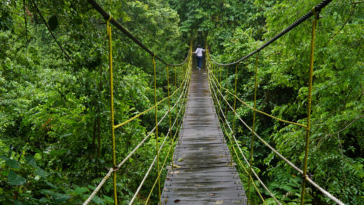 Jembatan Gantung Sangkima
