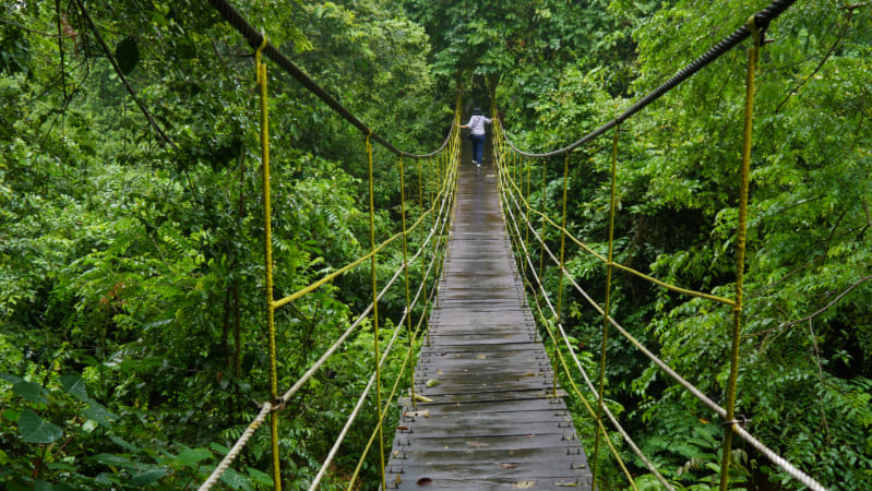 Jembatan Gantung Sangkima TN Kutai
