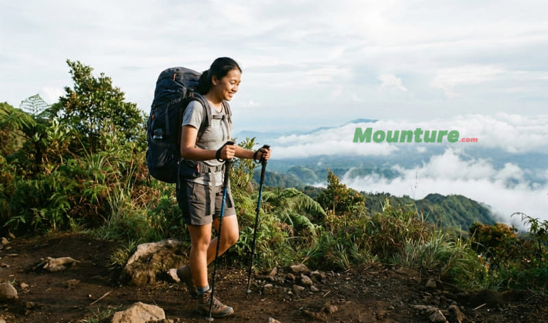 Pendaki - Celana Pendek