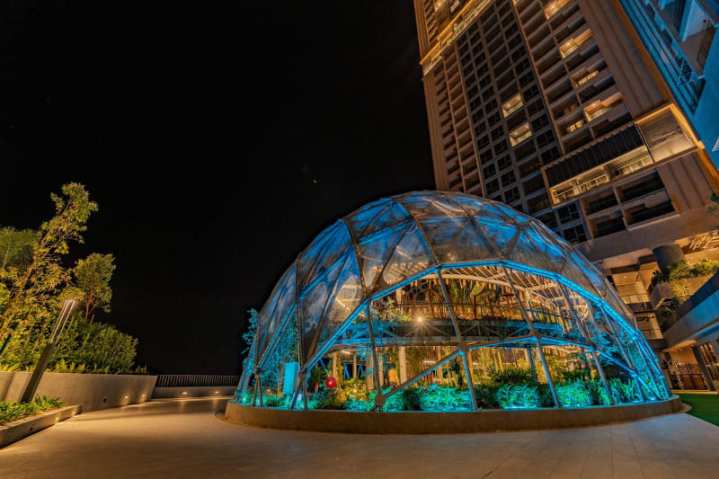 Antara by Sleeping Lion