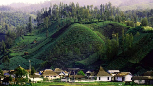 Desa Ranupani Lumajang