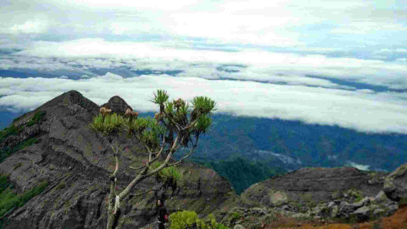 Gunung Rante Jawa Timur