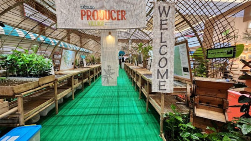 Amsterdam Coffee Festival 2026