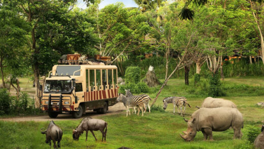 Taman Safari Indonesia