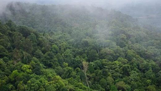 TWA Gunung Permisan
