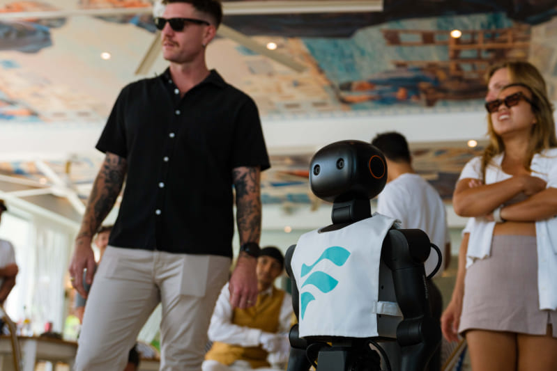 Robot Humanoid 