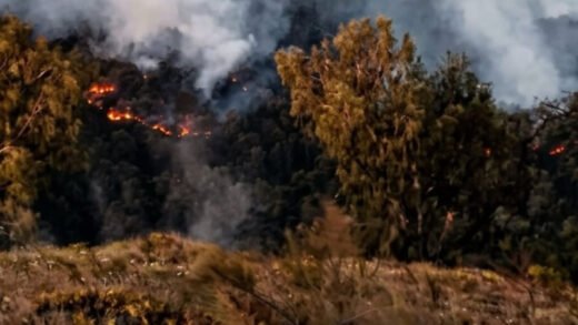 Kebakaran Hutan Tahura Raden Soerjo