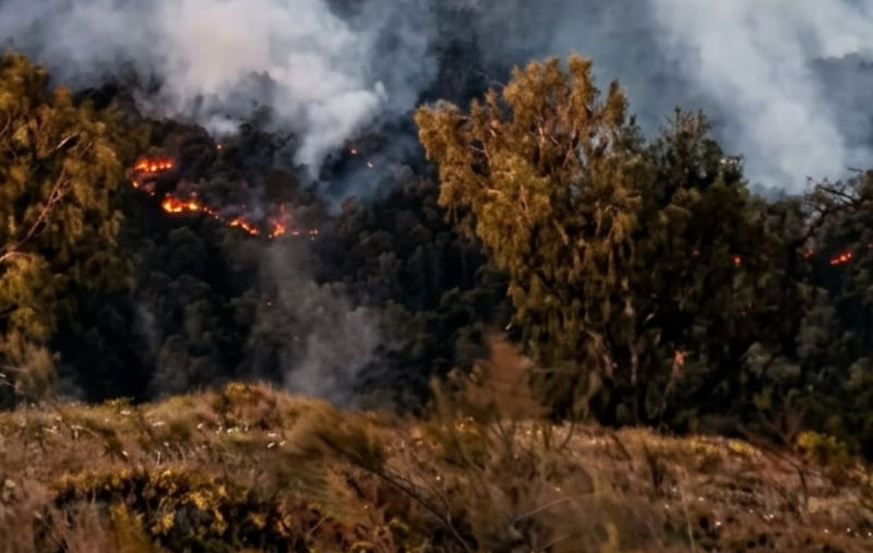 Kebakaran Hutan Tahura Raden Soerjo