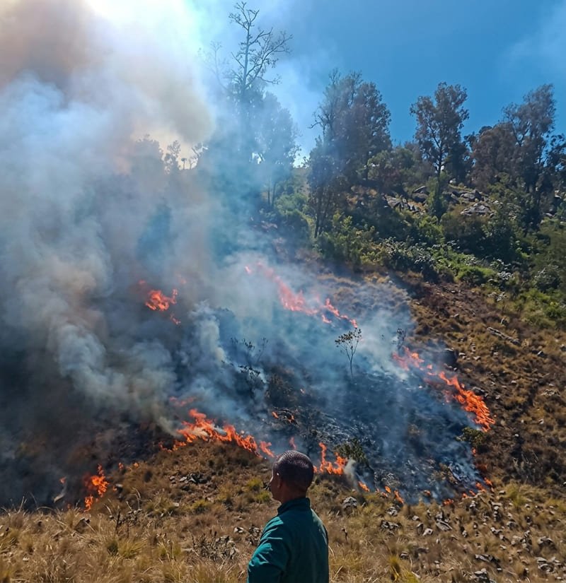 Semeru Terbakar Agustus 2026