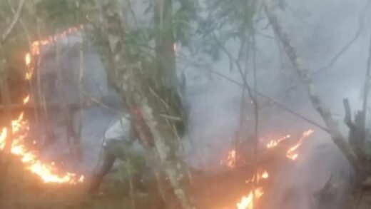 Hutan Gunung Andong