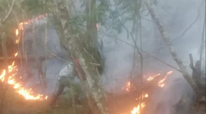 Hutan Gunung Andong