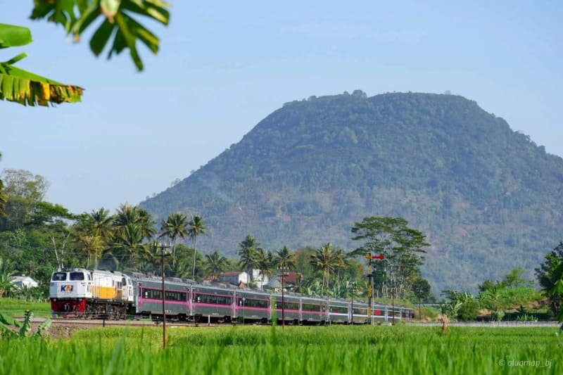 KAI 81 Tahun