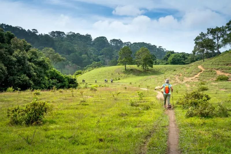 Gunung Pandan