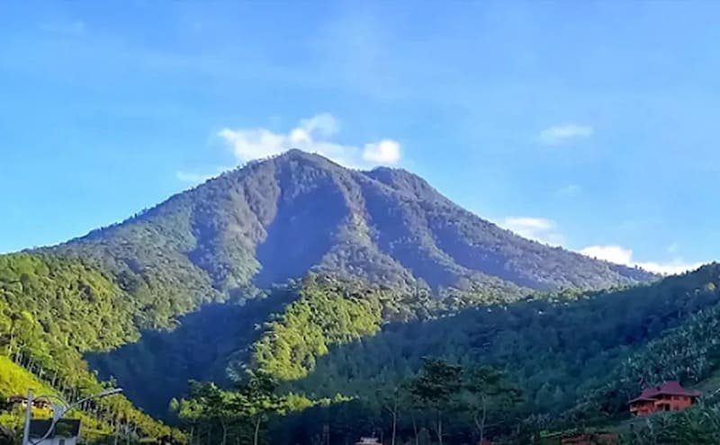 Gunung Djadi